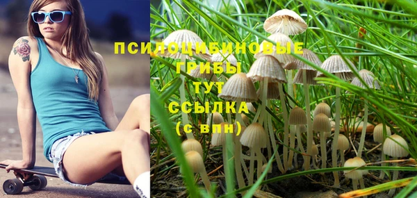spice Богородск