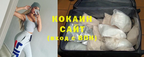 эйфоретик Богданович