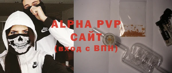 spice Богородск