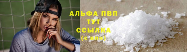 spice Богородск