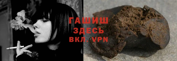 spice Богородск