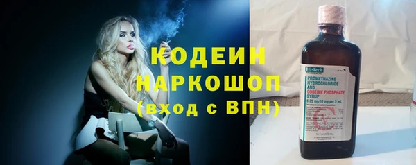 эйфоретик Богданович