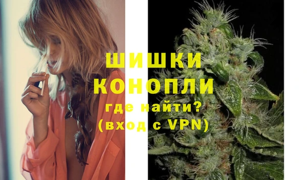 эйфоретик Богданович