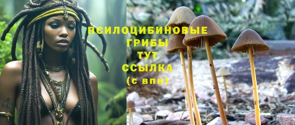 эйфоретик Богданович