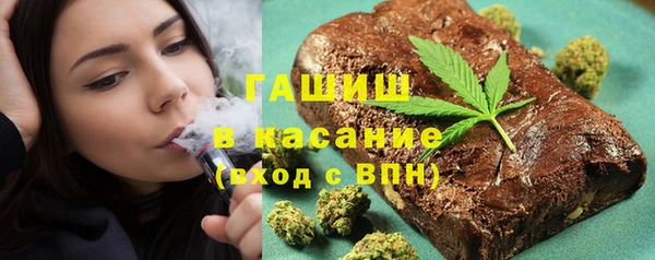 spice Богородск