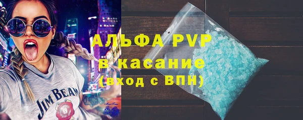 эйфоретик Богданович