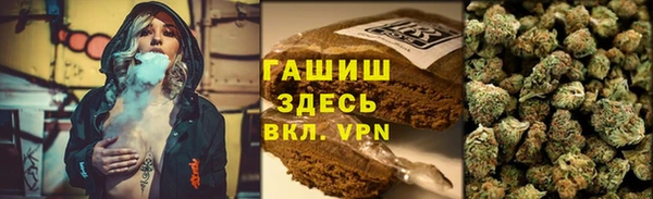 spice Богородск