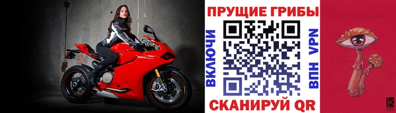 Галлюциногенные грибы MAGIC MUSHROOMS  Купить где  Куровское 